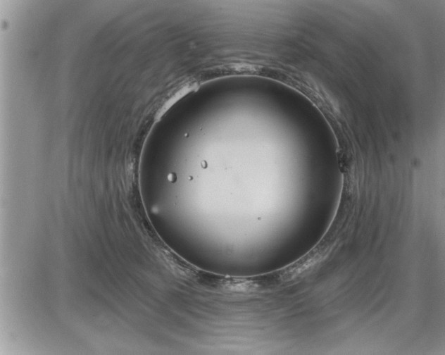 X0000087590321200705041515