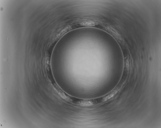 X0000087590322200705041515