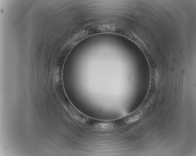 X0000087590323200705041515