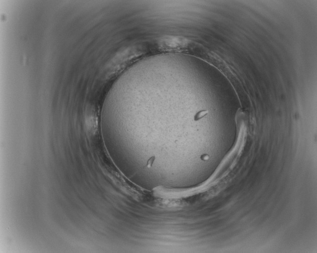 X0000087590324200705041515