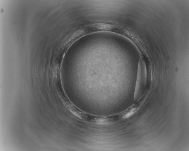 X0000087590325200705041515