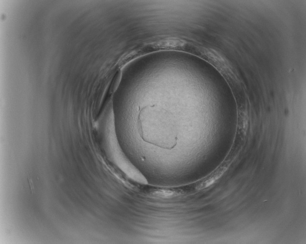 X0000087590326200705041515