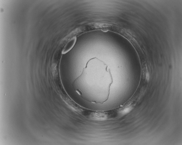 X0000087590327200705041515