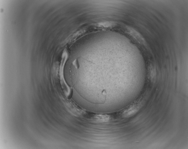 X0000087590328200705041515