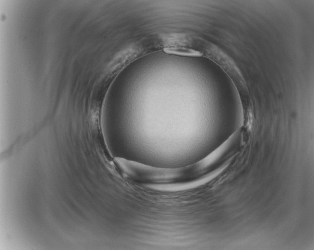 X0000087590329200705041515