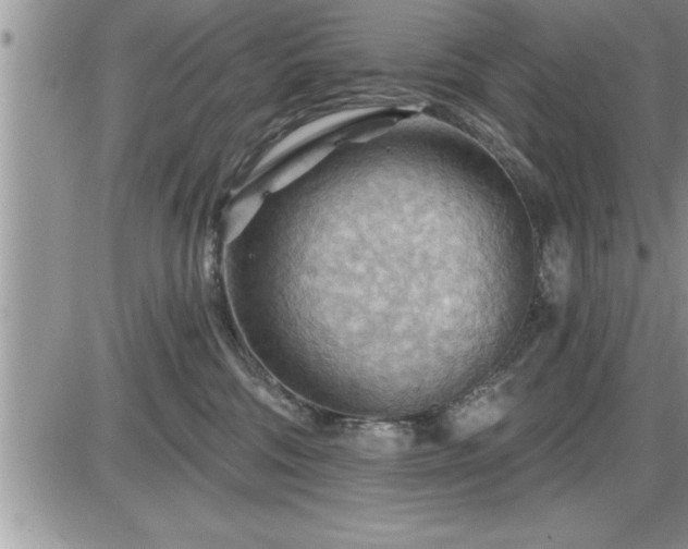 X0000087590330200705041515