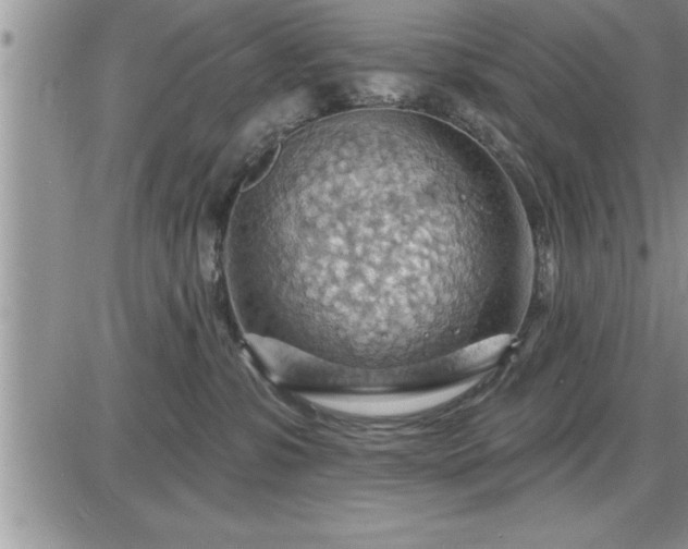 X0000087590331200705041515