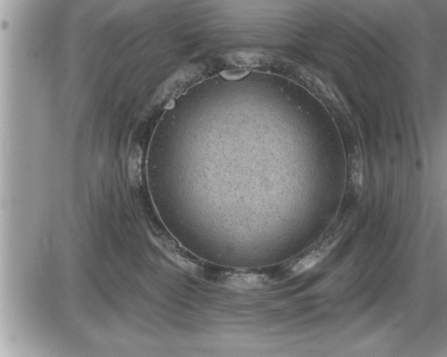 X0000087590332200705041515