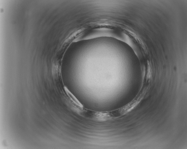 X0000087590333200705041515