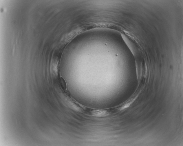 X0000087590334200705041515