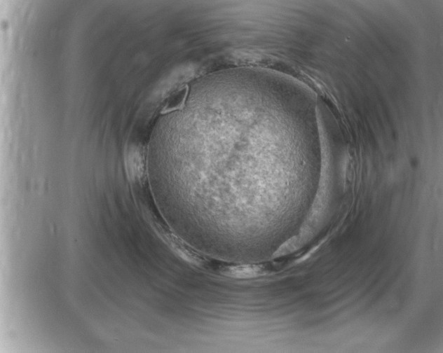 X0000087590335200705041515