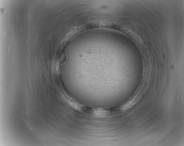 X0000087590336200705041515