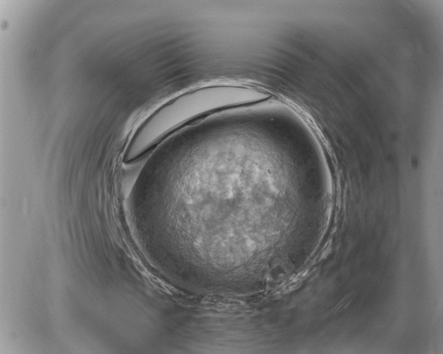 X0000087590337200705041514