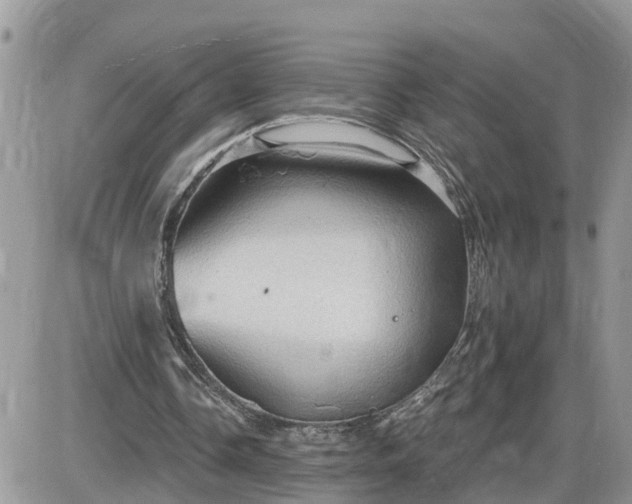 X0000087590338200705041514