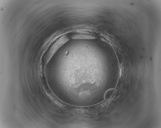 X0000087590339200705041514