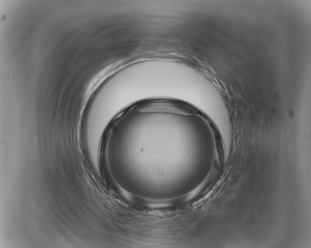 X0000087590340200705041514