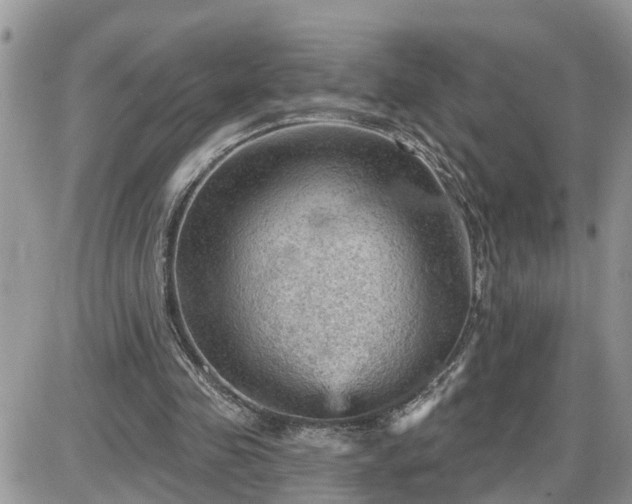 X0000087590341200705041514