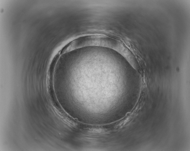 X0000087590342200705041514