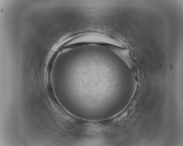 X0000087590343200705041514