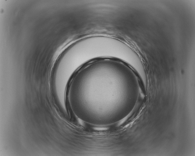 X0000087590344200705041514