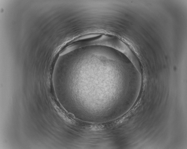 X0000087590345200705041514