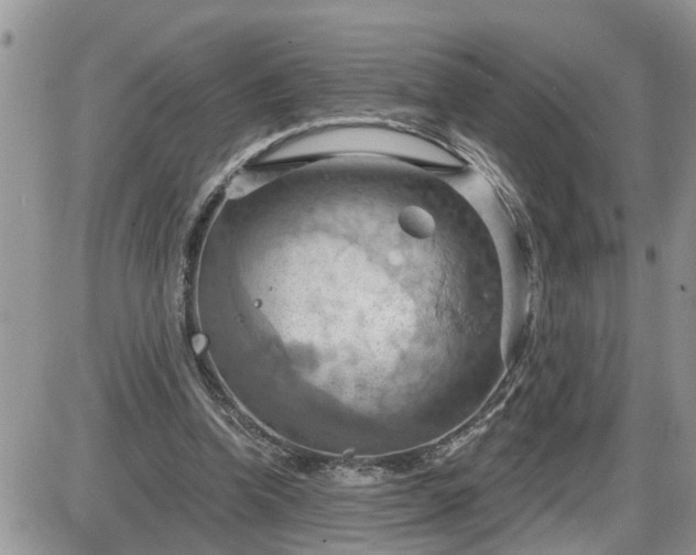 X0000087590346200705041514