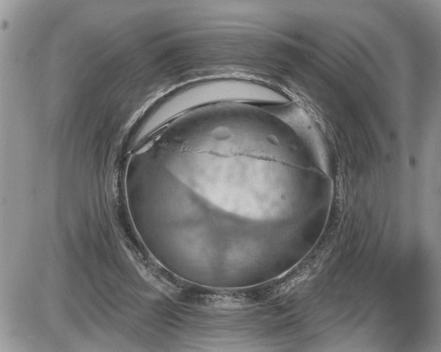 X0000087590347200705041514