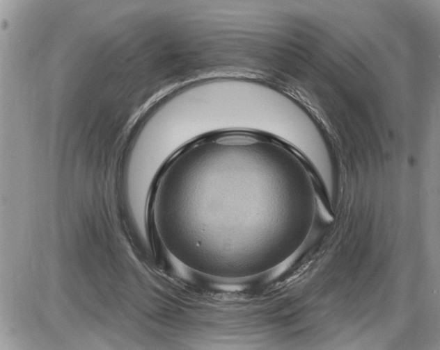 X0000087590348200705041514