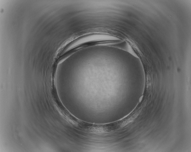 X0000087590349200705041514