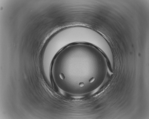 X0000087590350200705041514