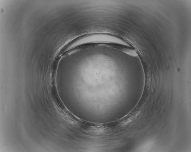 X0000087590351200705041514