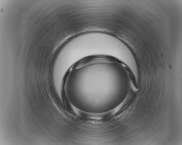 X0000087590352200705041514