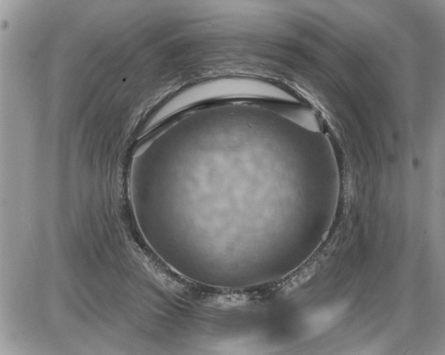 X0000087590353200705041515