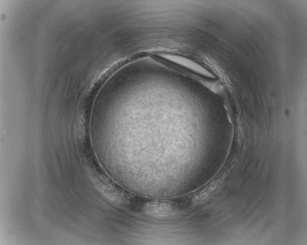 X0000087590354200705041515