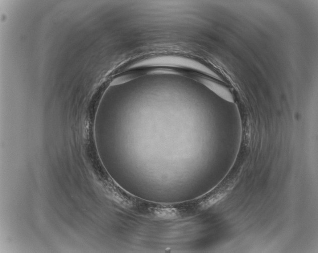 X0000087590355200705041515