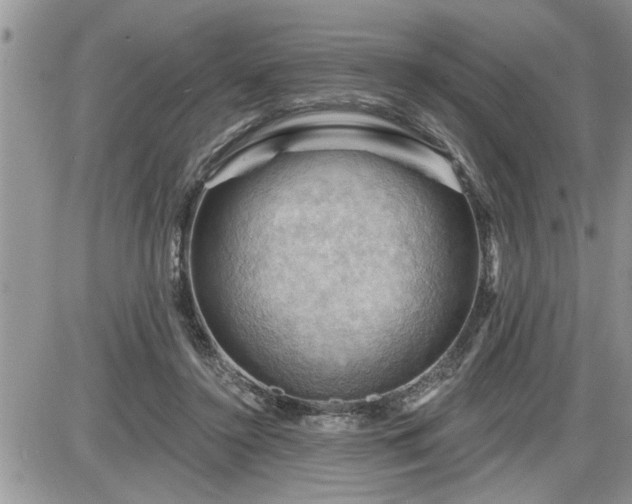 X0000087590356200705041515