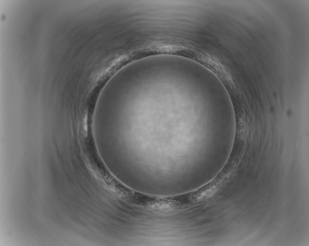 X0000087590358200705041515