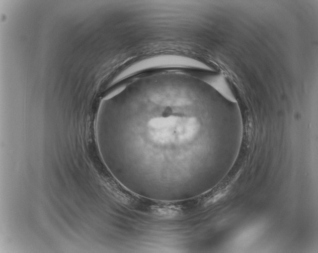 X0000087590359200705041515