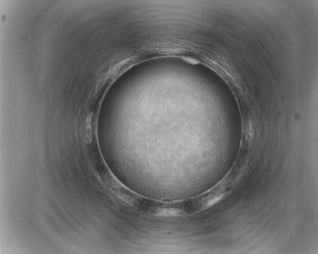 X0000087590360200705041515