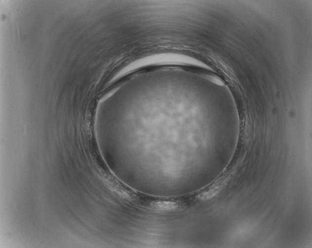 X0000087590361200705041515