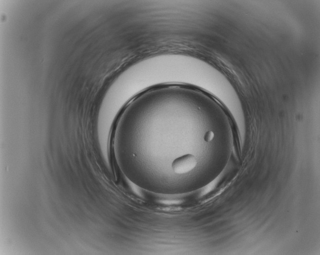 X0000087590362200705041515