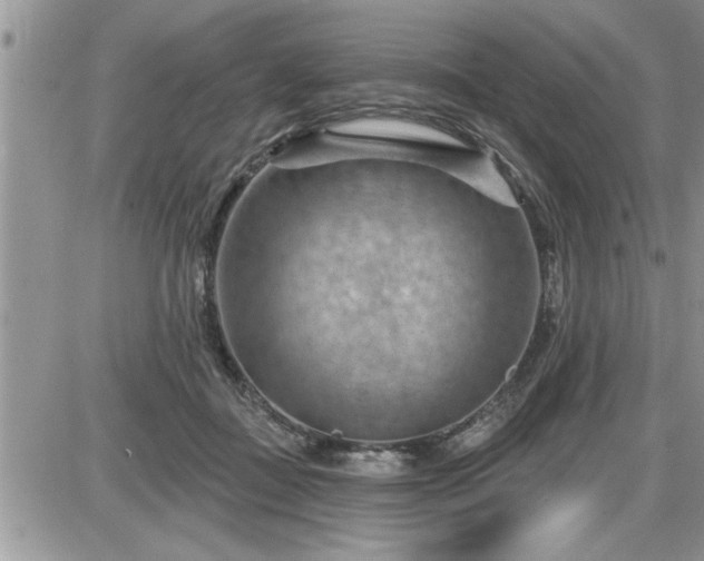 X0000087590363200705041515