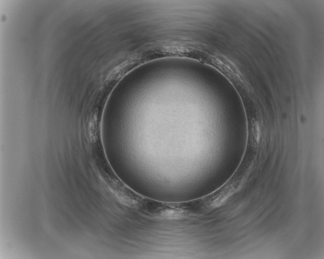 X0000087590364200705041515