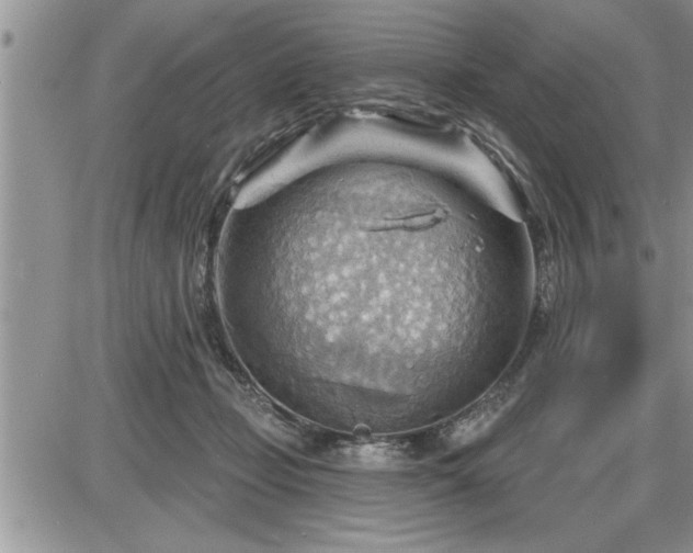 X0000087590365200705041515