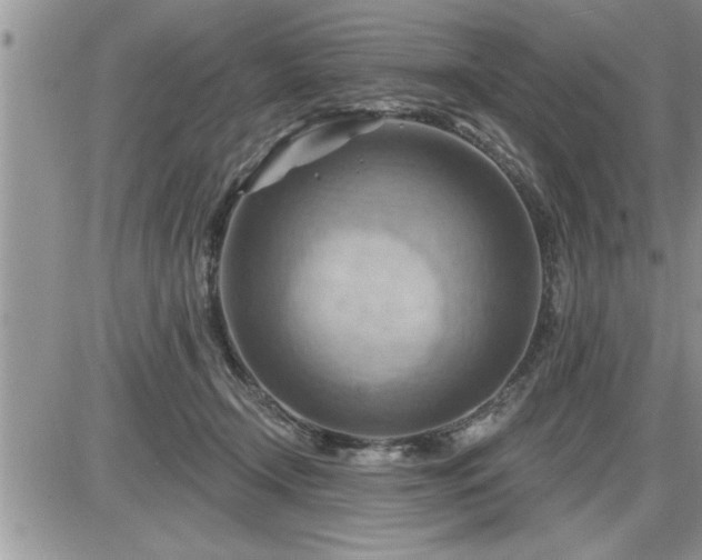 X0000087590366200705041515