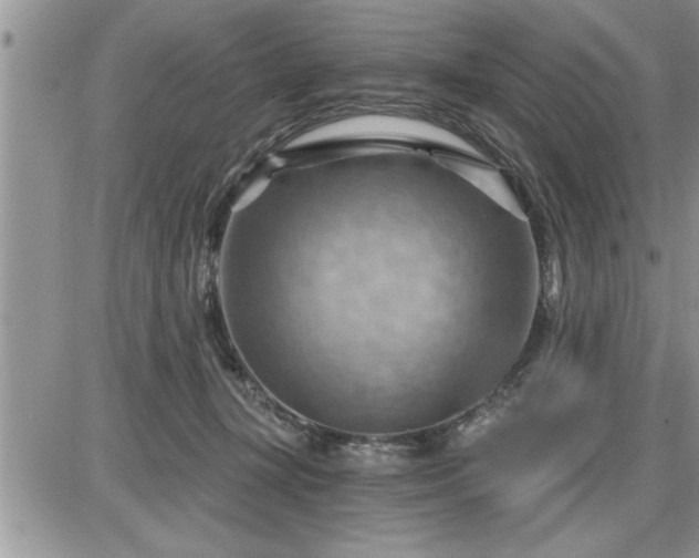 X0000087590367200705041515