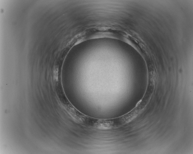 X0000087590368200705041515