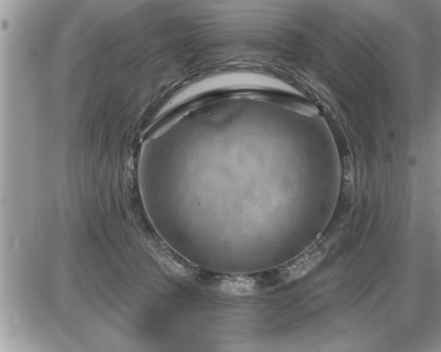 X0000087590369200705041515