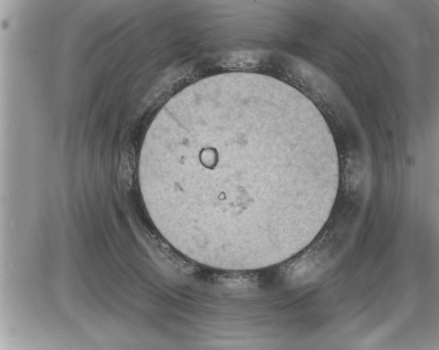 X0000087590370200705041515