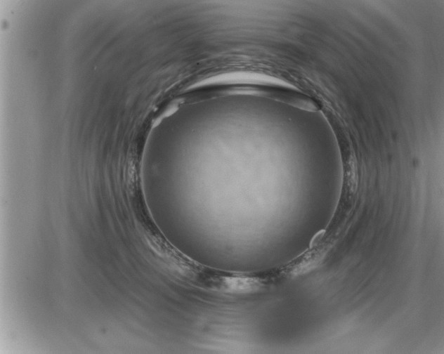 X0000087590371200705041515